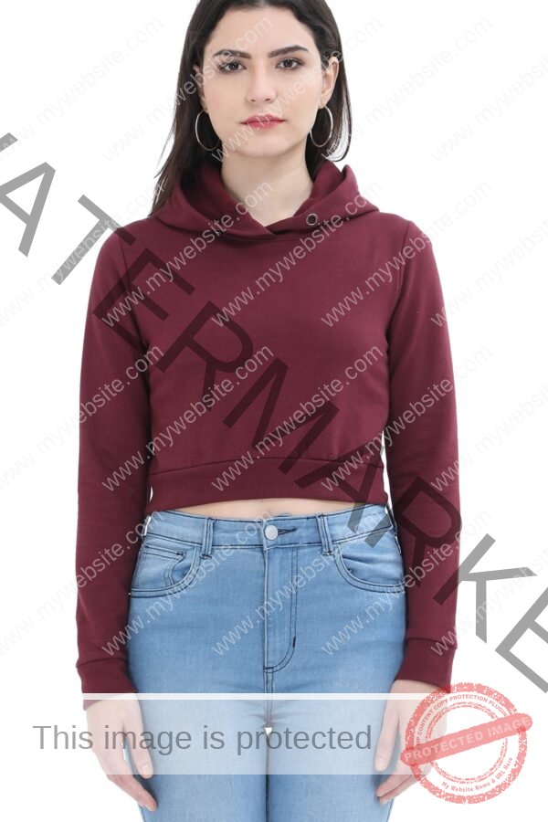 Women Crop Hoodies - Image 3