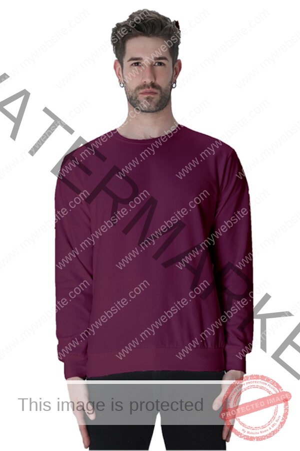 Men Sweatshirts - Image 8