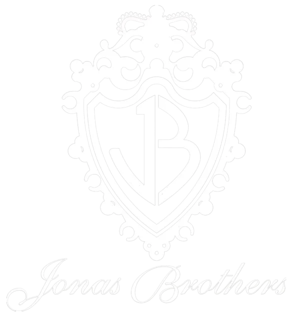 Jonas Brothers Unisex Oversized Hooded Sweatshirt - Image 3